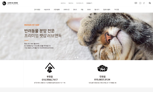 앤독 포트폴리오