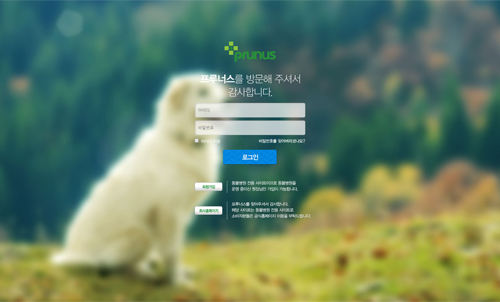 프루너스 포트폴리오